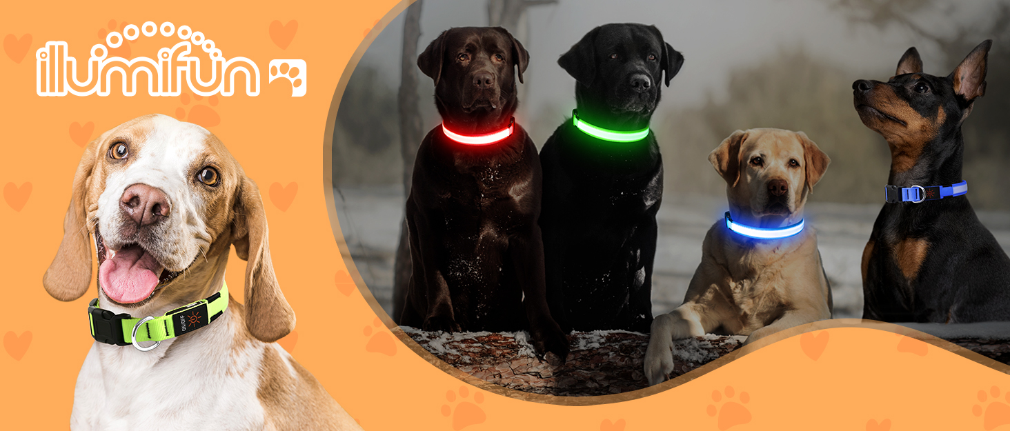 Елегантний костюм для собак Illumifun з краваткою та банданою, комплект для святкування, смокінг, жилет, сорочка, костюм для домашніх тварин знімний комірець (M)