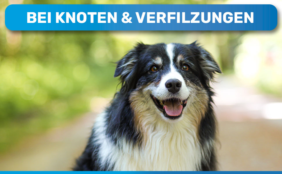 BluePet 2.0 - щітка для вичісування довгошерстих собак та котів | Розпушувач ворсу з двома рядами зубців | Розплутує, видаляє підшерстя, згладжує | Версія 2.0, блакитна