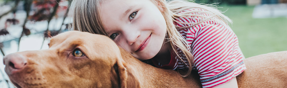 Нашийник для собак Hunter Vario Plus, сірий, M-L/2.0, надійна застібка, комфортний