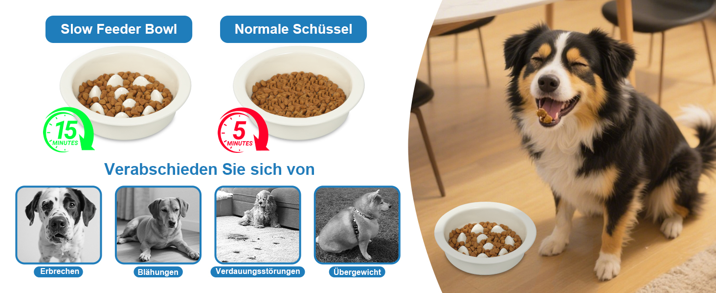 Миска для собак Slow Feeder з антиковзким покриттям, кераміка, для маленьких та середніх порід