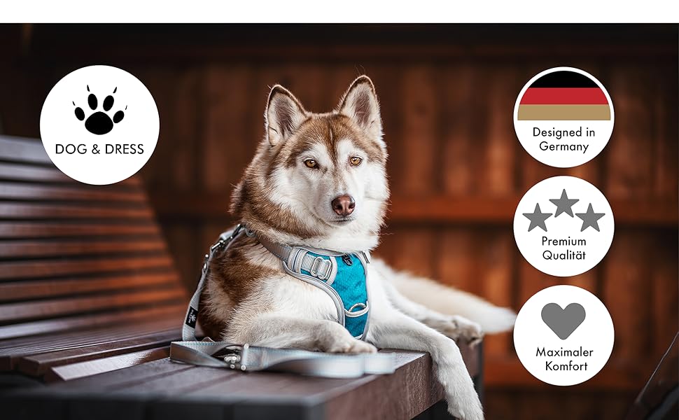 Набір повідка та шлейки для собак – дихаючий, регульований, з м'якою підкладкою та світловідбиваючими елементами – для великих та середніх собак (Синій, XL (76-101 см обхват грудей))