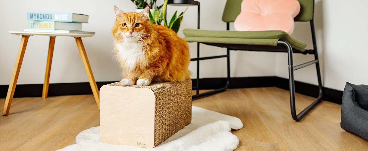 Кігтеточка для котів з гофрокартону | Міцна, велика, 2-в-1 (кігтеточка + будиночок) | 37 x 21,5 x 21,5 см