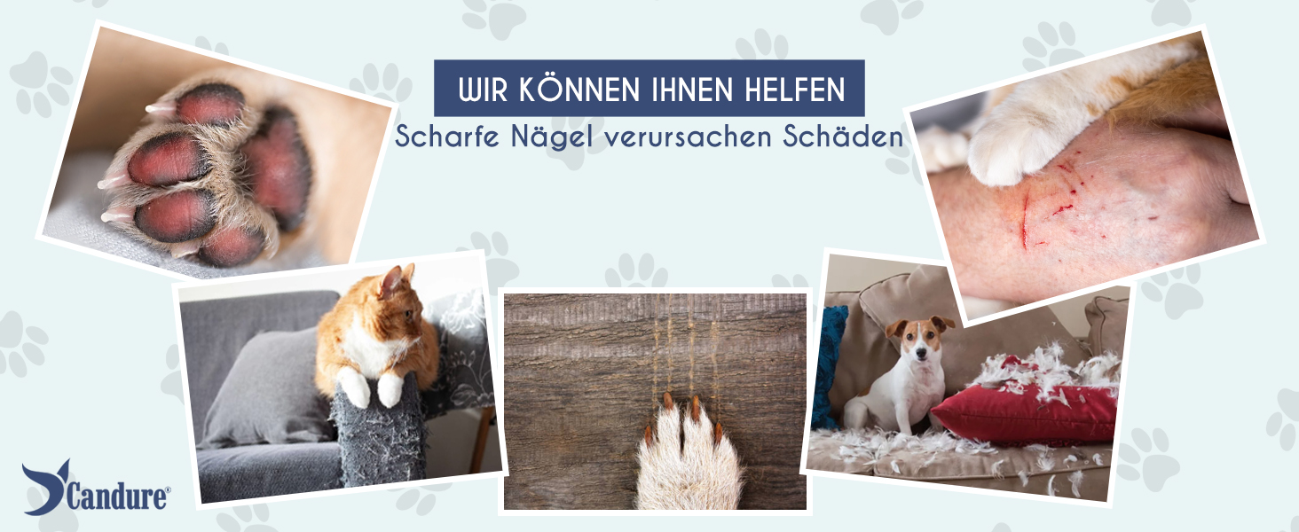 Шліфувальник для собак Candure: тиха акумуляторна машинка для догляду за кігтями з LED-підсвічуванням та змінним насадком, підходить для собак всіх розмірів (Marineblau)