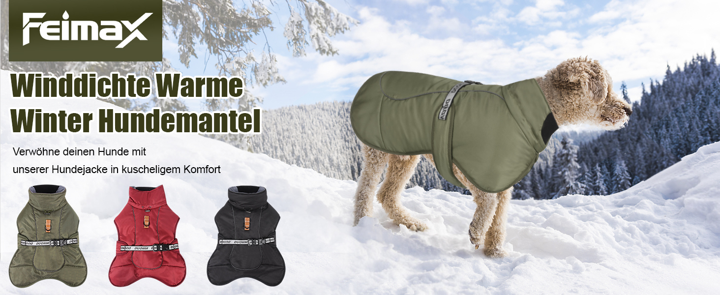 Зимовий одяг для собак FeimaX: теплий, вітронепроникний зимовий одяг для середніх та великих собак. Відображаючий, регульований жилет для тварин з кільцем D (зелений, 6XL)