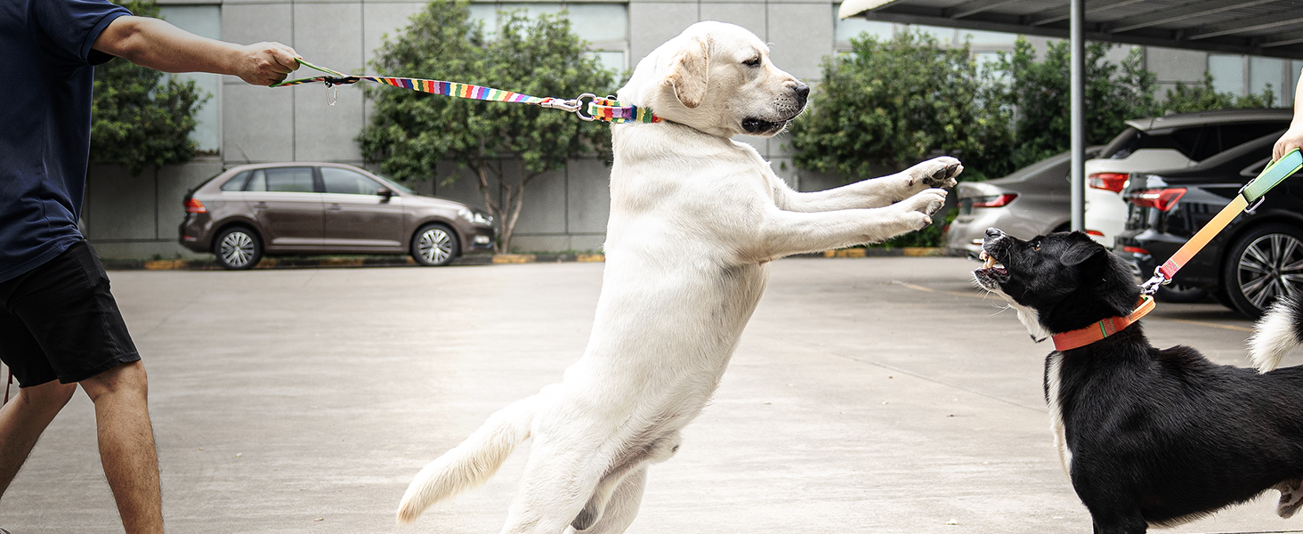 TSPRO Преміум нашийник для собак з ручкою, тактичний, товстий, регульований, для середніх та великих собак (Помаранчевий L), розмір ручки L, регулювання 44.5-62.2 см