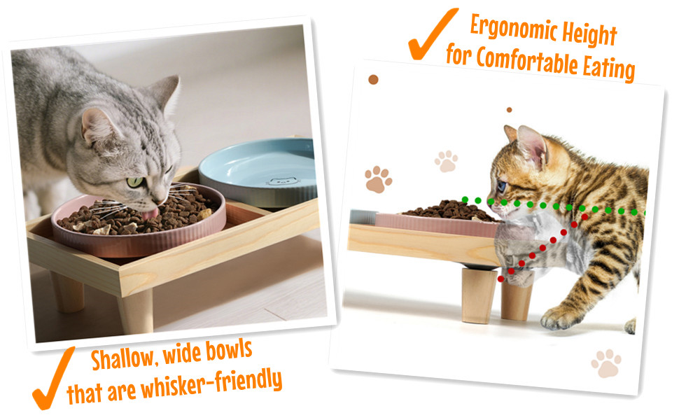 Миска для котів плоска керамічна з дерев'яною підставкою, піднята станція для годування з 2 керамічними мисками, миска для котів, діаметр миски 16 см для їжі та води, рожева & блакитна, блакитно-рожева