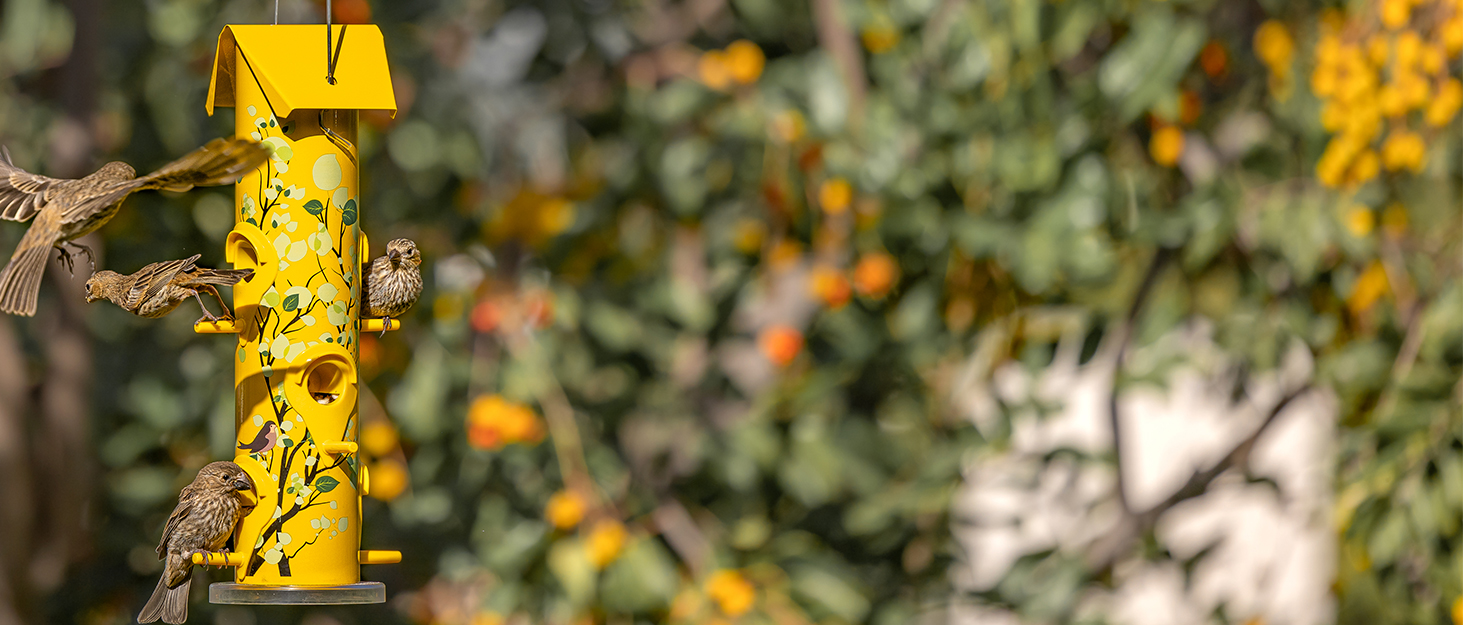 Годівниця для птахів Kingsyard 2 шт. 38 см - з 6 посадковими прутами, годівничка для диких птахів, для насіння, цілорічне годування, для саду/тераси/балкону, зелена (прозора трубка, червона)