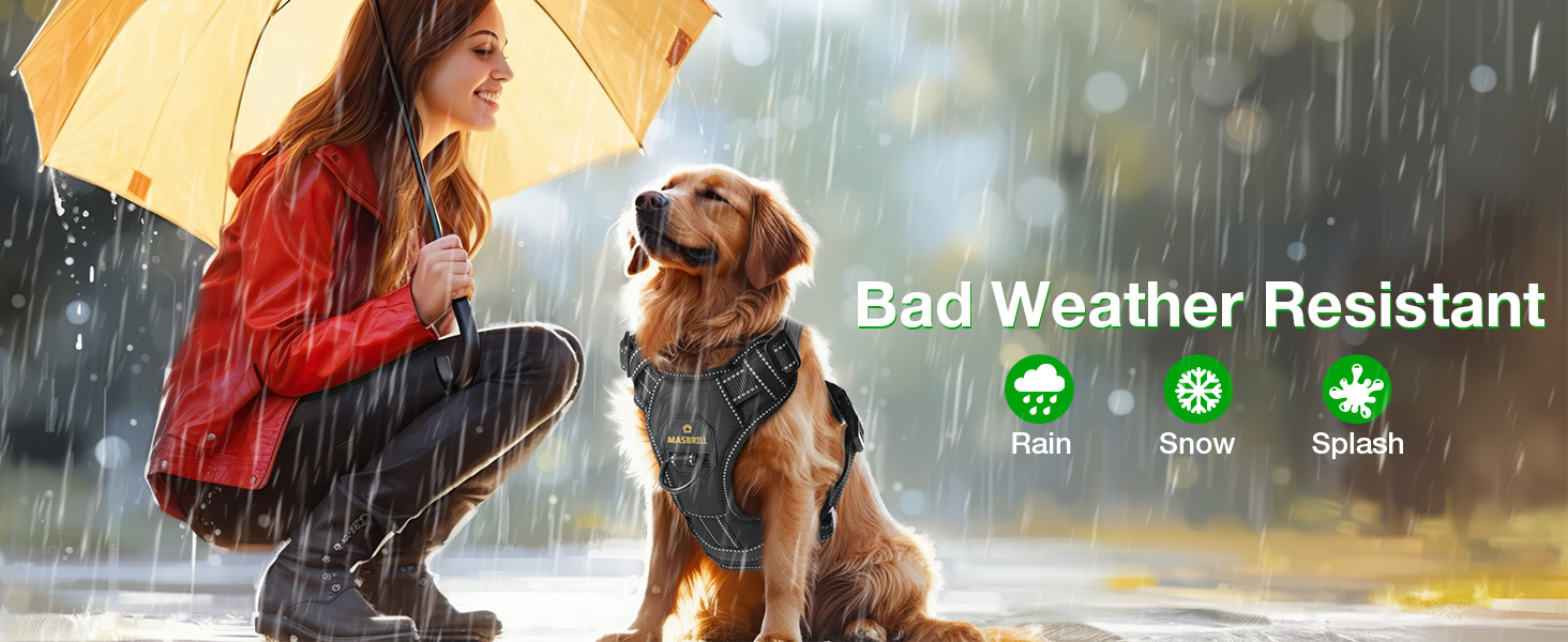 Світловідбиваючий нашийник для собак Masbrill з LED-підсвічуванням, регульований, з ручкою, м'який, для малих, середніх та великих собак (Синій L), Чорно-синій, TC3005B L Чорно-синій