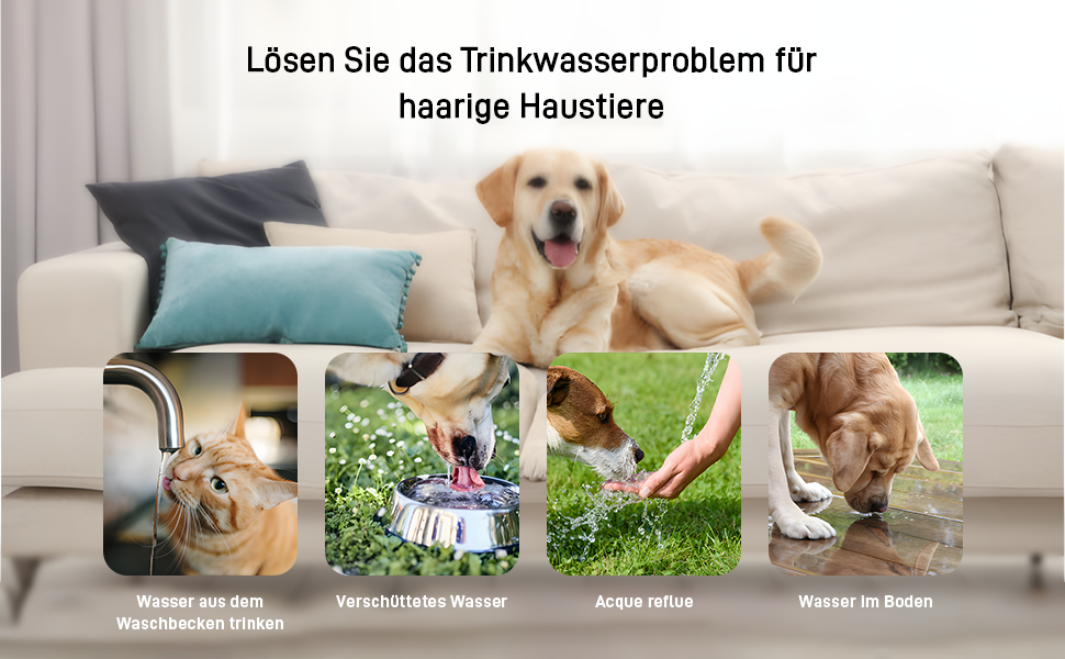 Миска для собак з нержавіючої сталі, 1л, з плаваючою платформою, для подорожей, внутрішнє та зовнішнє використання, сіра