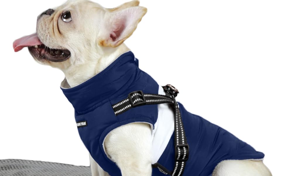 Зимова жилетка для собак, теплий нашийник, водонепроникний одяг для тварин з кільцем, регульована блискавка, світловідбиваючі елементи (M, Чорний)