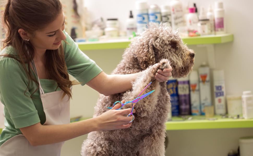 Набір професійних ножиць Yosoo для грумінгу собак та котів: 2 вигнуті ножиці, ножиці для розрідження, гребінець та коробка для зберігання