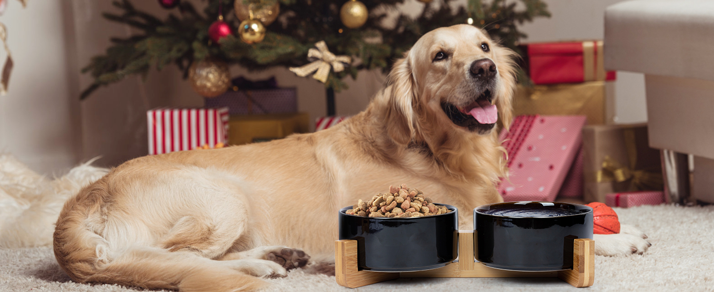 Набір мисок для собак та котів SPUNKYJUNKY з кераміки, 2 шт., 400 мл, блакитний, з підставкою з бамбука