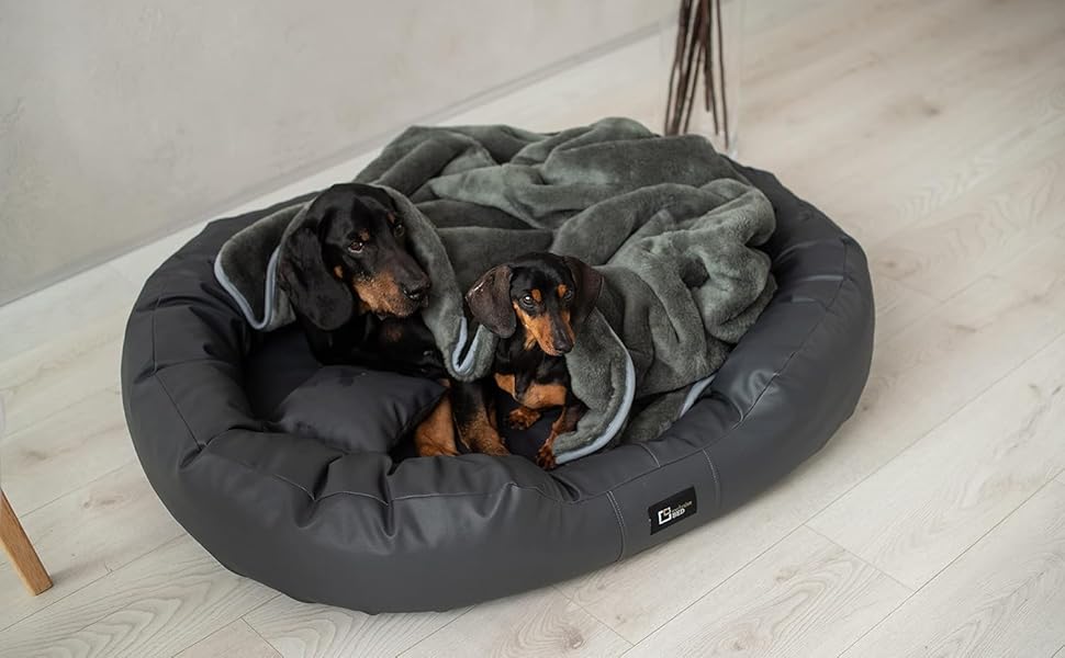 Ортопедичне ліжко для собак Nancy Premium, велике, середнє, маленьке - подушка для собак, килимок для собак з еко-шкіри, неслизьке, довговічне, зносостійке, міцне (L, Коричневий)