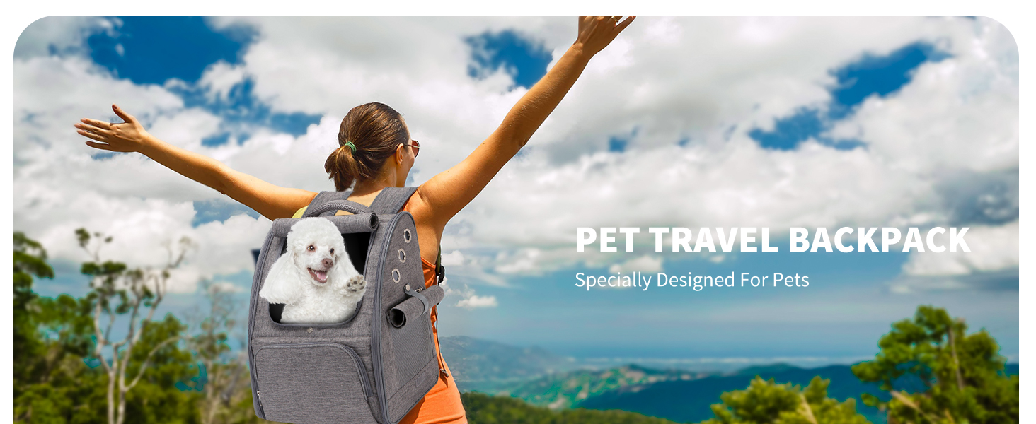 Рюкзак для собак та котів PETCUTE: дихаючий, складаний, для малих порід, сірий