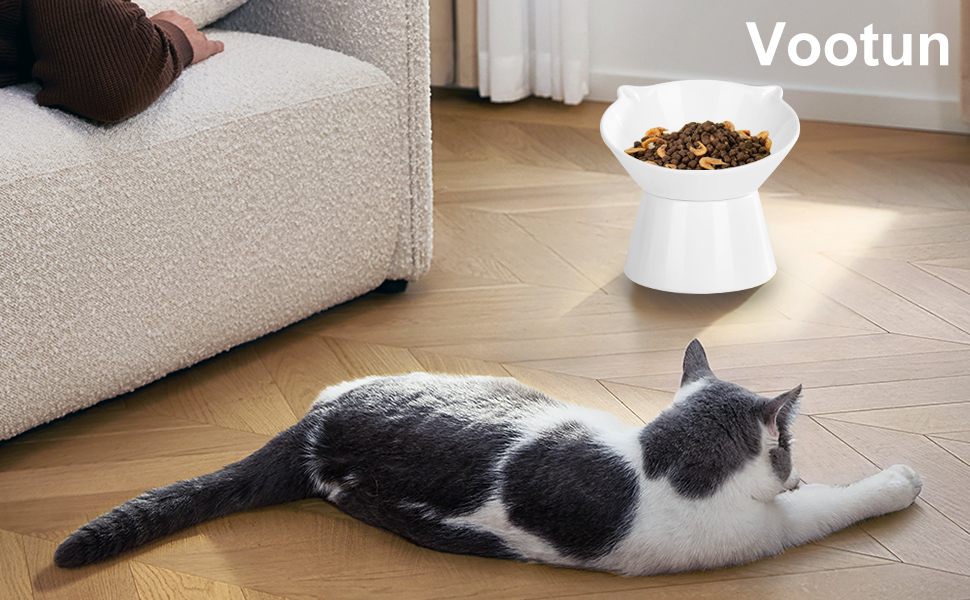 Миска для кота, піднята на 15°, миска для корму та води для котів, цуценят та маленьких собак, біла