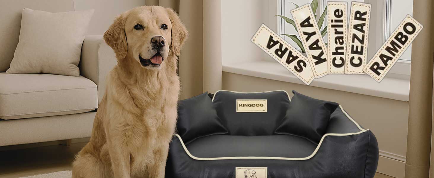 Крісло-ліжко для собак середніх порід King Dog: миється, з еко-шкіри, 75x65 см, з можливістю персоналізації імені, водонепроникне, з силіконовою начинкою, чорне