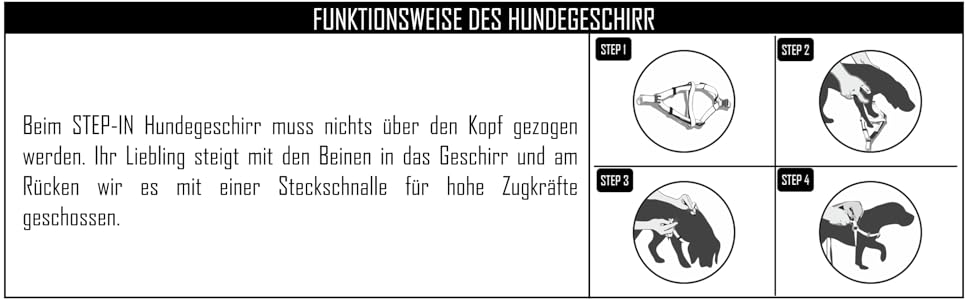 Шлейка для собак DDOXX Nylon Step-In, світловідбиваюча, регульована, анти-вислизання | для маленьких та великих собак, котів, цуценят | для авто | помаранчевий, розмір M