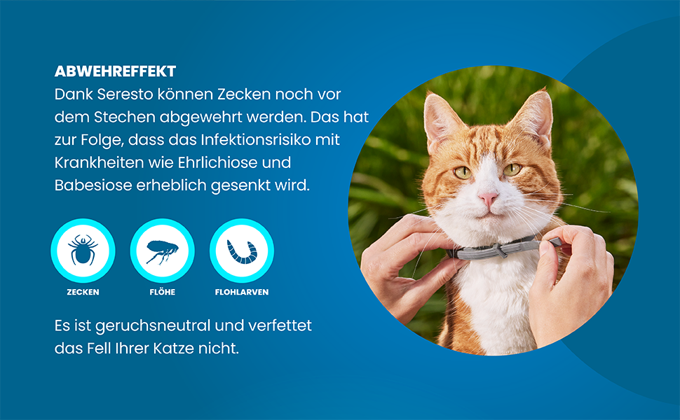 Halsband Seresto від блохи та кліщів для котів: захист до 7 місяців, довжина 36 см, 2 шт. в упаковці