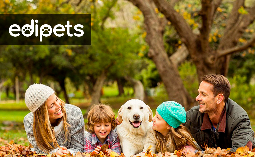 Edipets: портативна пляшка для води для собак, 350 мл, антибактеріальна, без витоку, BPA-free, для активного відпочинку (Рожева)