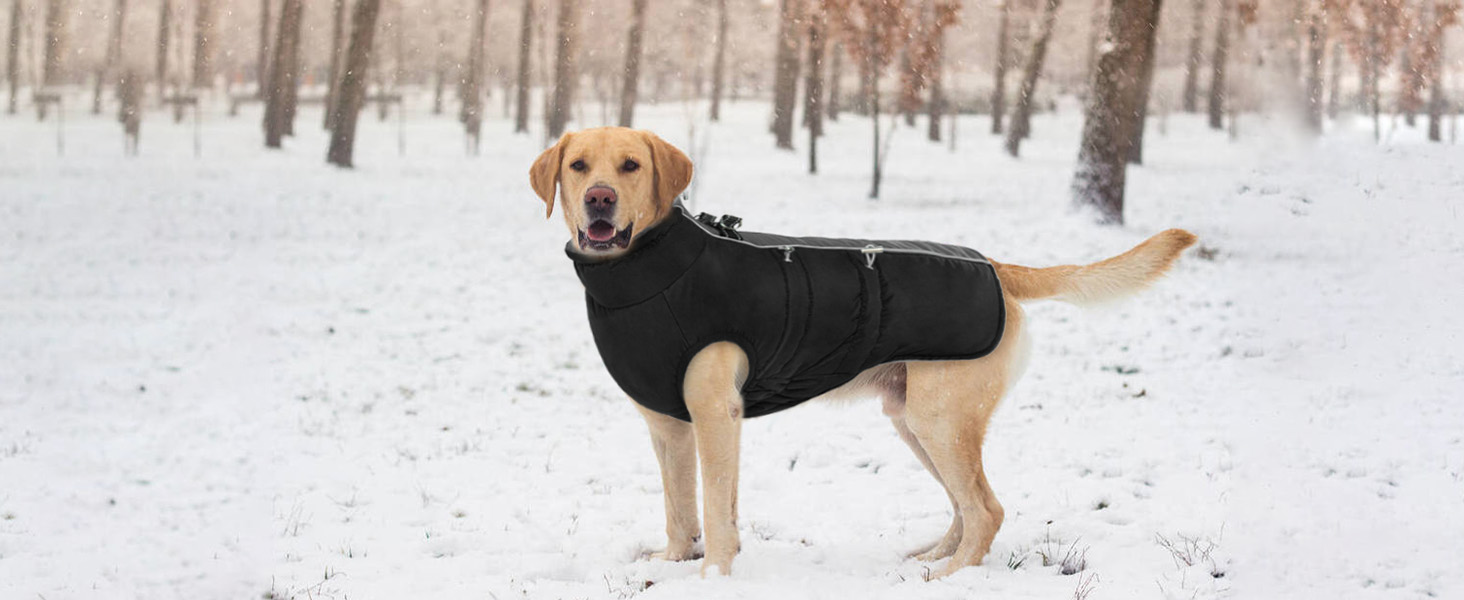 Водонепроникний зимовий одяг для собак, тепла куртка для собак з отвором для шлейки, для малих, середніх та великих собак, з відбиваючими смугами та блискавкою - чорний, XS