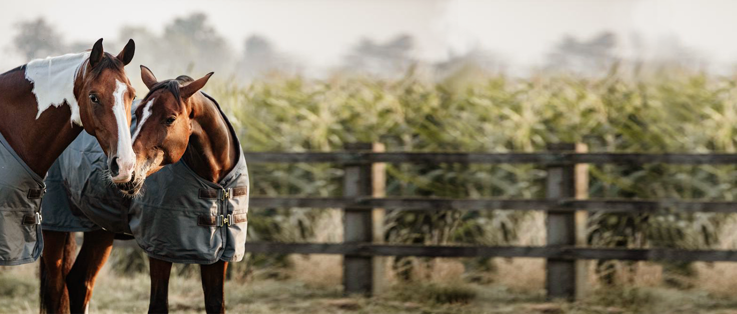 Водонепроникна кінська попона Kentucky Horsewear, всепогодна, класична, синя, 155 см, 150 г утеплювач