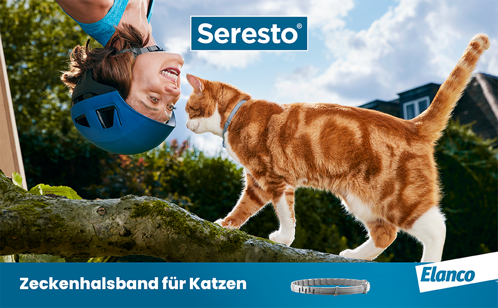 Halsband Seresto від блохи та кліщів для котів: захист до 7 місяців, довжина 36 см, 2 шт. в упаковці