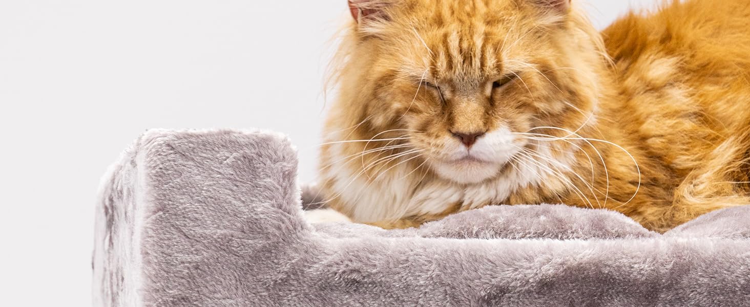 Драбина-будинок для котів Petrebels Parklane 175 см, з гамаком XXL, будиночком, диваном та товстими стовпчиками, колір капучино