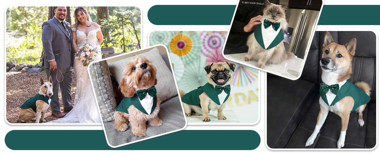 Костюм для собак з банданою, набір для святкування (весілля, день народження, Хелловін) - чорний з сріблястими смугами (M)