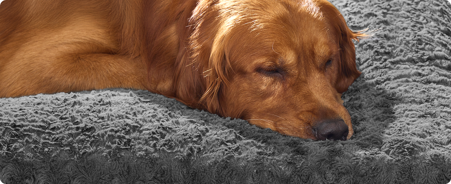 Ліжко для собак Feandrea XL, м'яке, для великих собак, 110 x 73 см, сірий, PGW293GN01