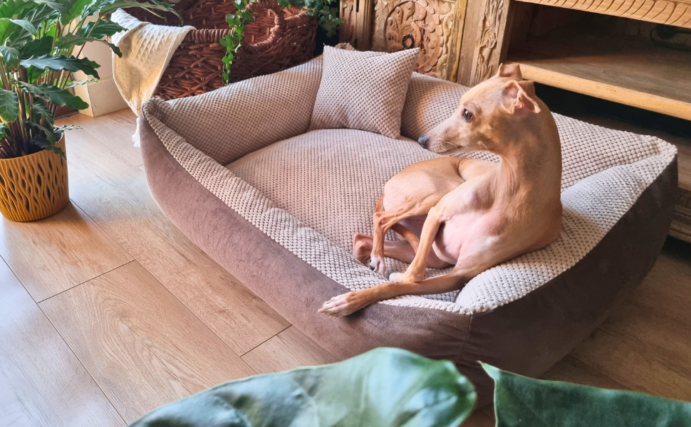 Квіткове ліжко для котів та собак 4L Textil Teo: м'яке, зручне, миється, 60x40 см, сірий колір