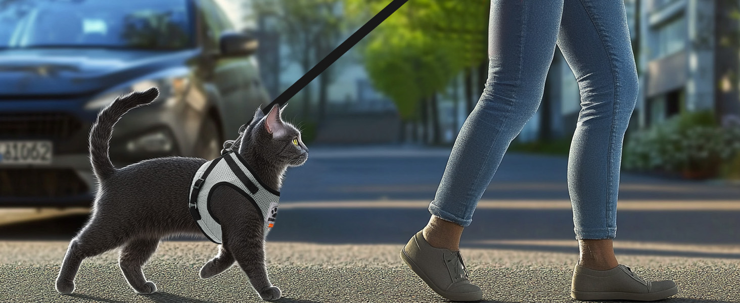 Нашийник для котів Bindokun з повідком, анти-вислизання, комплект, розмір M, сірий