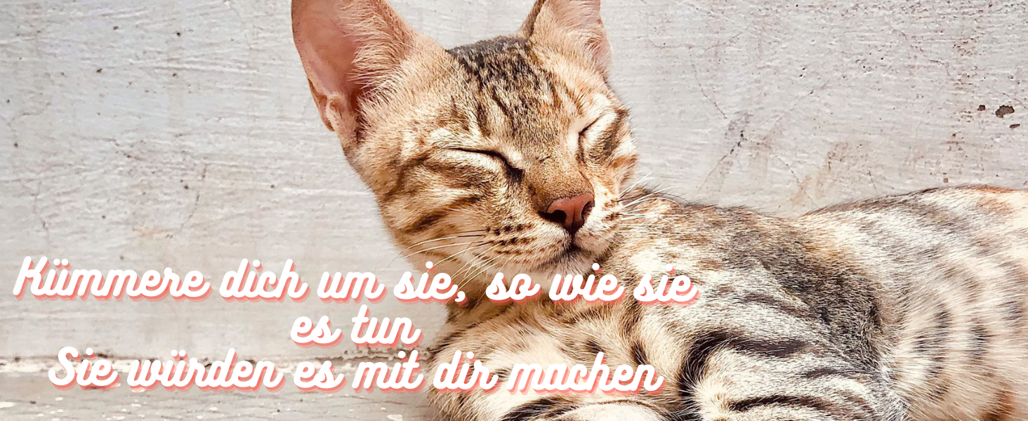 Набір для догляду за тваринами 9 предметів: щітка для собак та котів, очищувач лап, зубна щітка для пальців, обрізач кігтів, пилка для кігтів, гребінець для собак, рукавичка для догляду за котами, щітка для миття