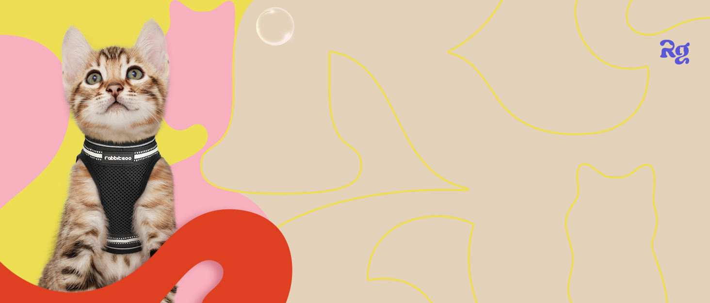 Нашийник та поводок для котів Rabbitgoo - безпечний, регульований, з відбиваючими смугами, сірий, M