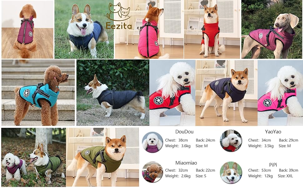 Водонепроникний жилет для собак на осінь/зиму, для цуценят та середніх порід, відбиваючий, з кріпленням для повірця, блакитний