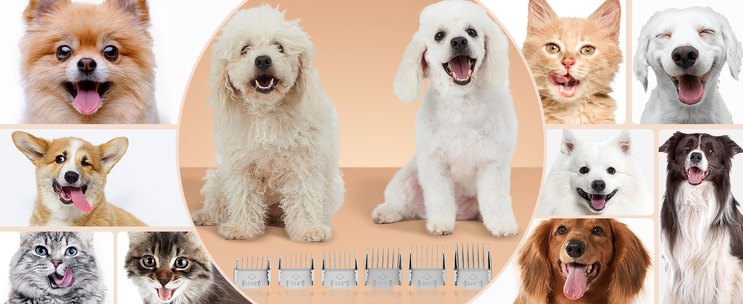 Професійна машинка для стрижки собак Afloia з пилососом, комплект догляду за домашніми тваринами, тиха машинка для собак та котів, професійна машинка для стрижки собак з 7 інструментами, об'єм 1.5л