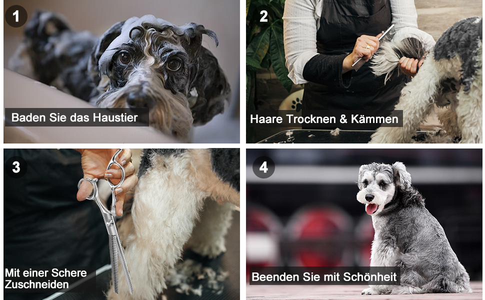 Професійний набір ножиць для грумінгу собак CIICII 10-в-1 з безпечними закругленими кінцями. Ідеально підходить для собак, котів та інших домашніх тварин. Срібний колір.