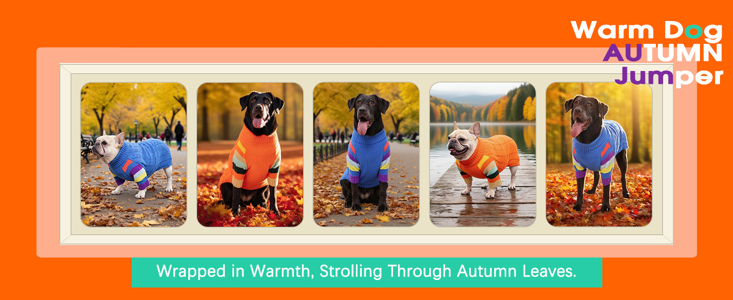 Пуловер для собак середнього розміру OUOBOB, теплий в'язаний зимовий пуловер з отвором на животі, еластичний светр для Бостон Тер'єрів та Французьких Бульдогів, L, Синій