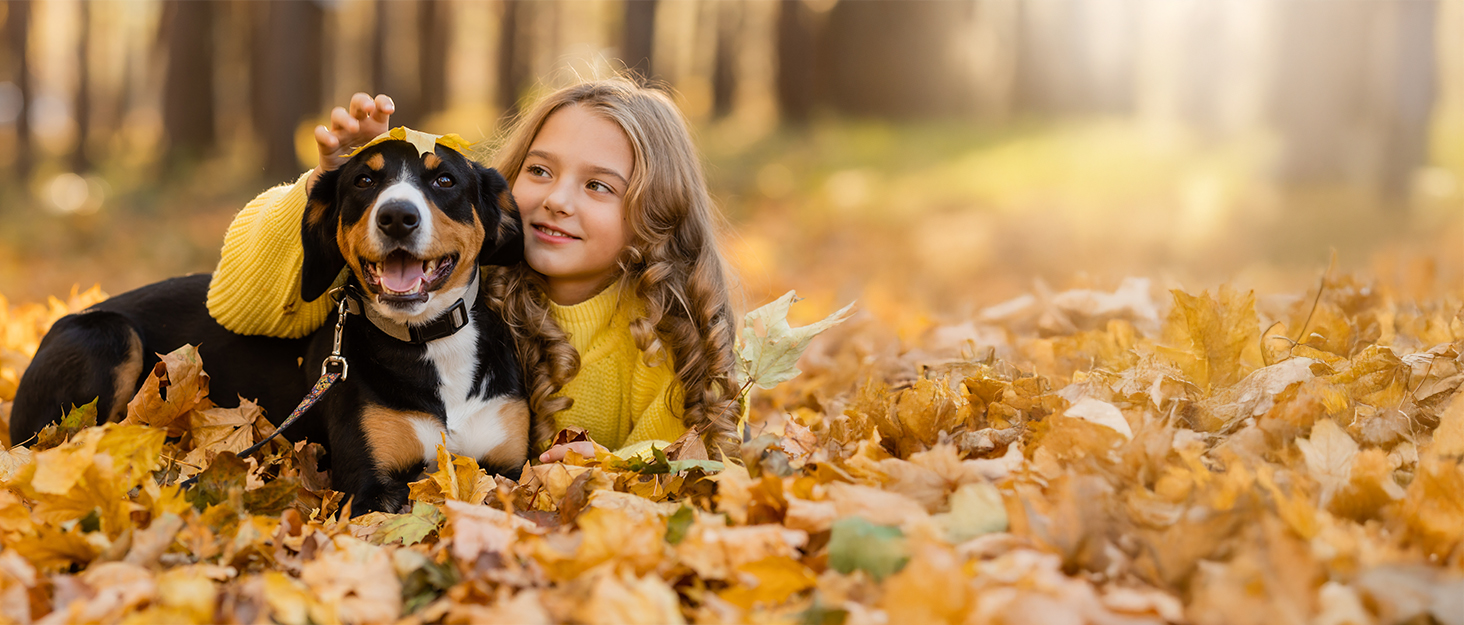 Сходинки для собак та котів, 3 сходинки, 40 см, сірі. Зручні для літніх тварин, миються, не слизькі. Для дому, до ліжка, дивану.