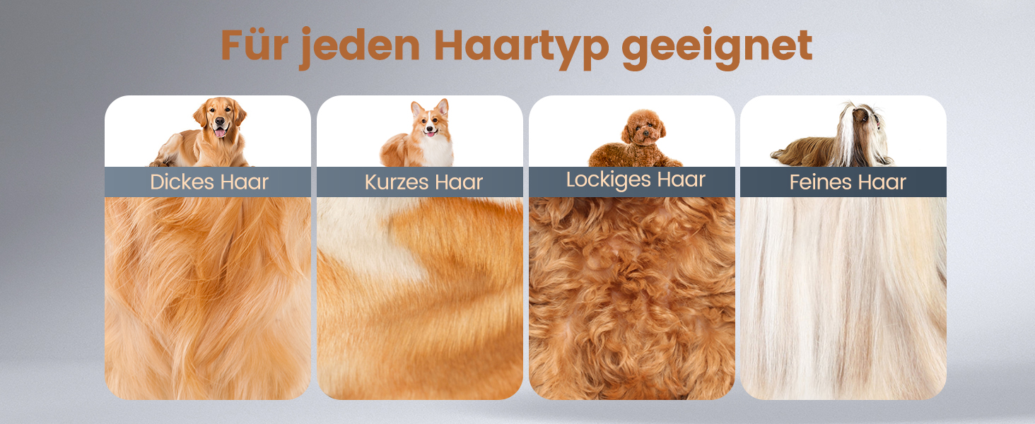 Набір 4 в 1 для догляду за собаками: машинка для стрижки, триммер для лап, точилка для кігтів, для собак та котів