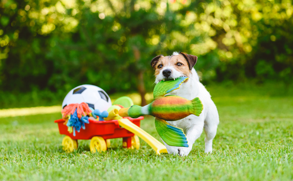 Візок для собак Wedyvko до 20 кг, 4 колеса, складаний, для маленьких та середніх собак та котів, з кошиком для зберігання та тримачем для напоїв, зелений (чорний)