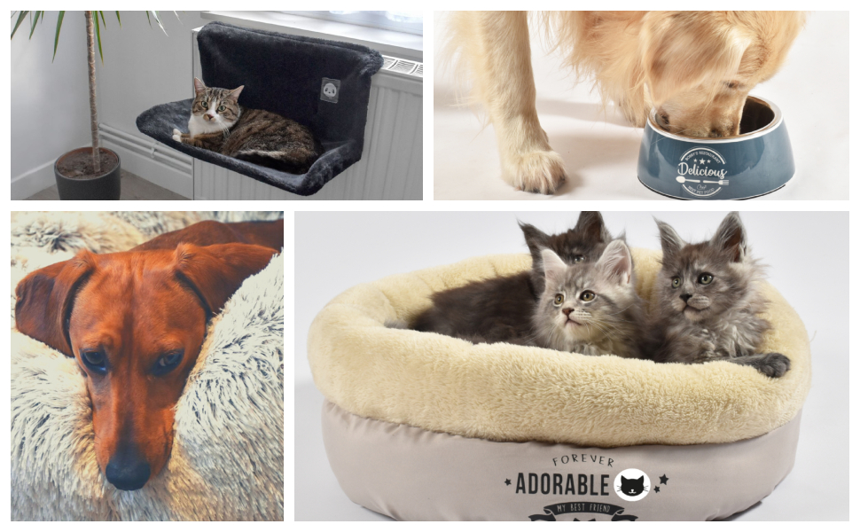 Сумка для тварин Bobby Tennis – переноска для котів та собак, 45 x 18 x 30 см, з плечовим ременем та рюкзаком, Бежево-чорна