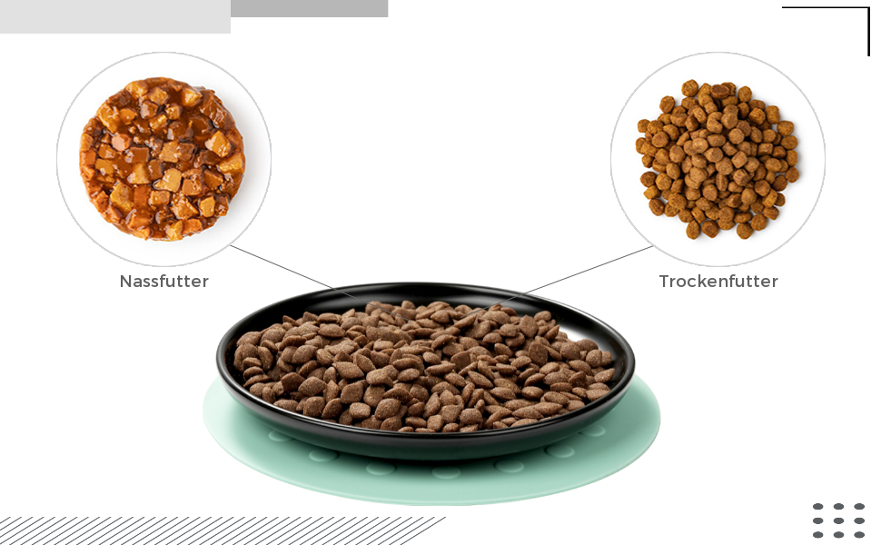 Керамічні годівниці для котів, 3 шт. з антиковзними килимками, широкі та плоскі миски для котів та кошенят, білий (чорний)