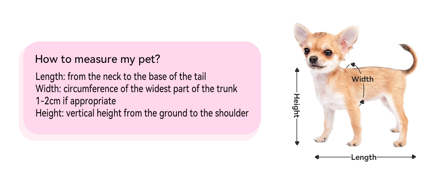 Рюкзак для кота та собаки Petsfit - зручний та дихаючий, до 5 кг, з сіткою та регульованим ременем, зелений (сірий & рожевий)