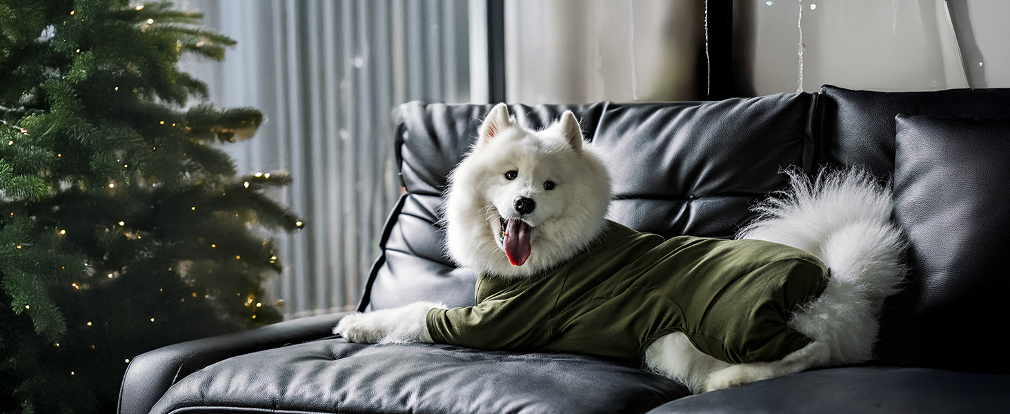 Комбінезон для собак OneTigris FUZZBUD, зелений, L: теплий, еластичний, для собак середніх та великих порід, захист від випадання шерсті, алергії, витікання, ран