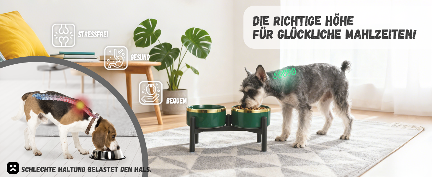 Керамічна годівниця для собак на підставці з нержавіючої сталі - подвійний набір мисок для собак, невеличких та середніх порід - неслизький набір мисок для корму та води - 350г / 660мл - 15см - сірий M сірий