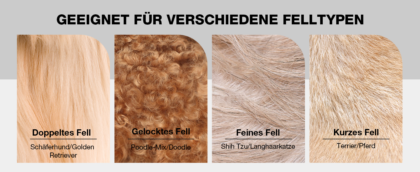 Професійна машинка для стрижки собак Leise з нержавіючої сталі, для густого та кучерявого хутра