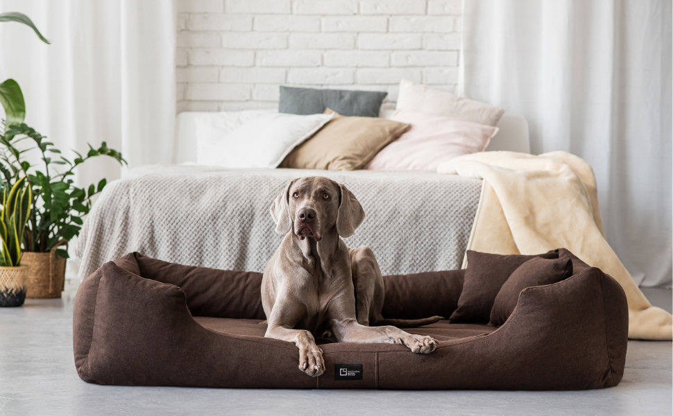 Ортопедичне ліжко для собак Bruno Grosse, середнього та малого розміру - подушка для собак, килимок для собак з тканини Aura - піна з пам'яті, м'яка, довговічна, стійка до зношування та розривів (L, кремовий) L, кремовий