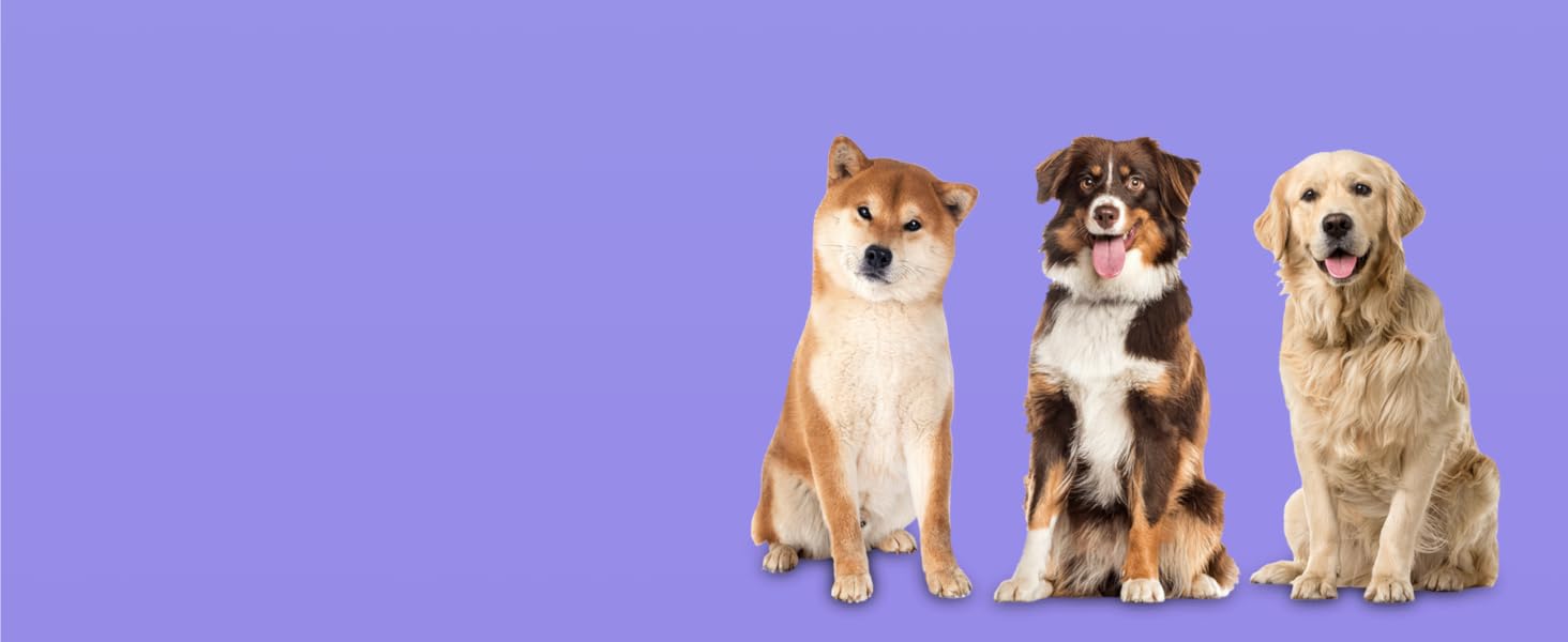 Ортопедичне собаче ліжко Normani для великих, середніх та маленьких собак - м'яке ліжко-диван з високим бортиком, колір бежевий, розмір 60x80x16 см