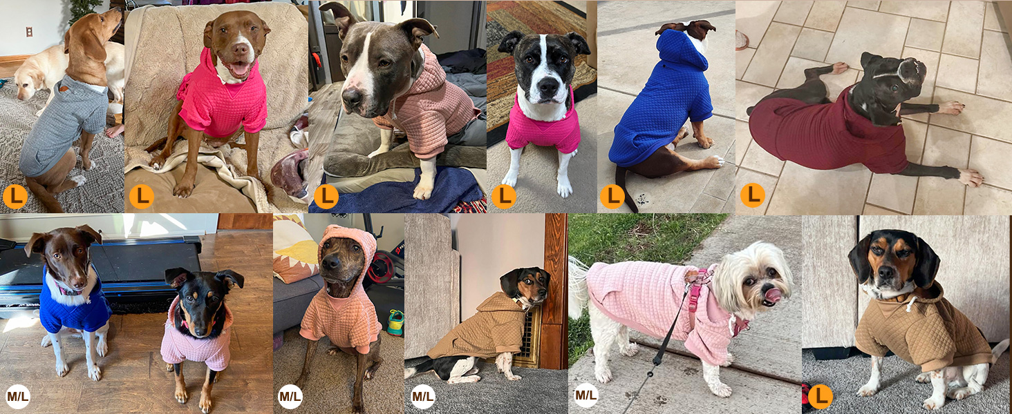 Теплий пуховик з капюшоном для собак середніх та маленьких порід від BEAUTYZOO, рожевий, з кишенями