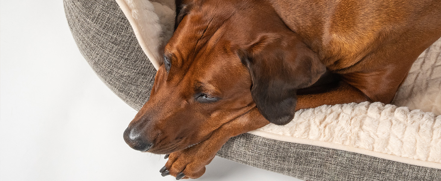 TrendPet VitaBed Бежеве - Ортопедичне ліжко для собак з 5см Memory Foam (100x90 см)